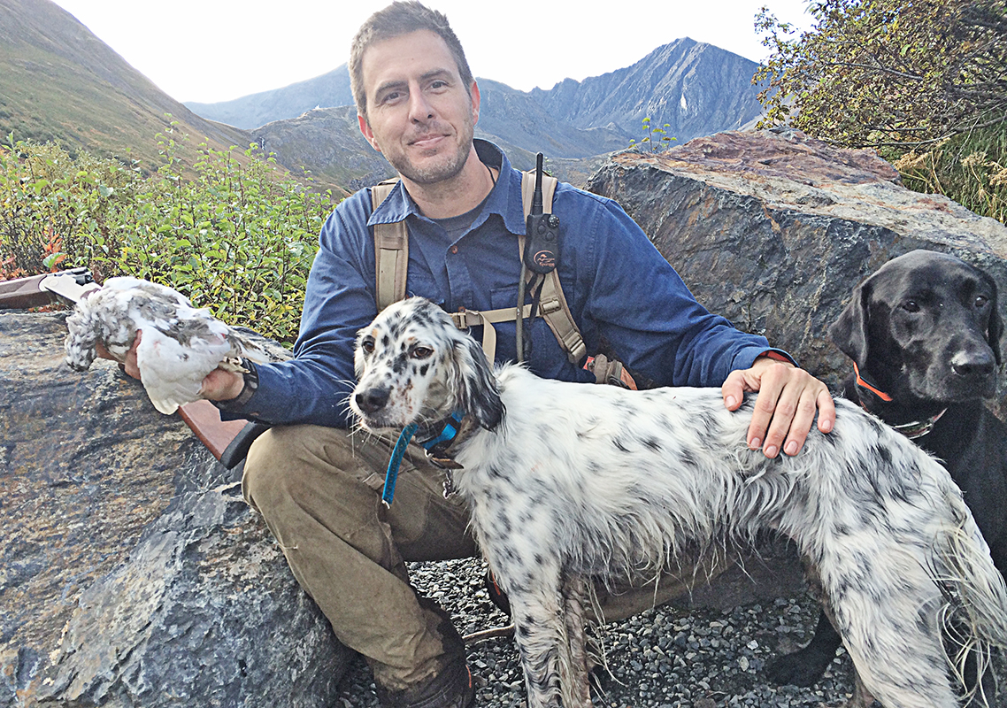 Whitetail Ptarmigan and Llewellin Setter