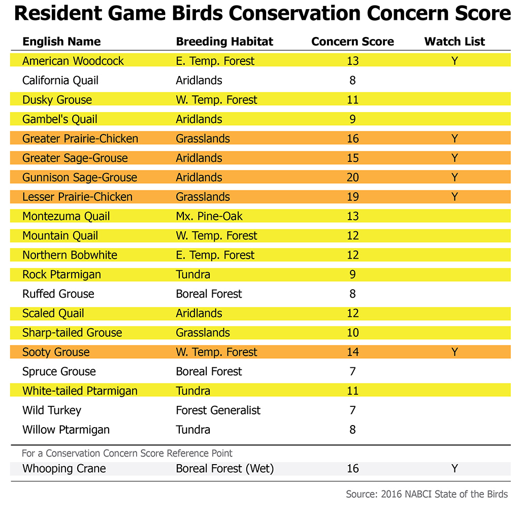 Bird Concern Score