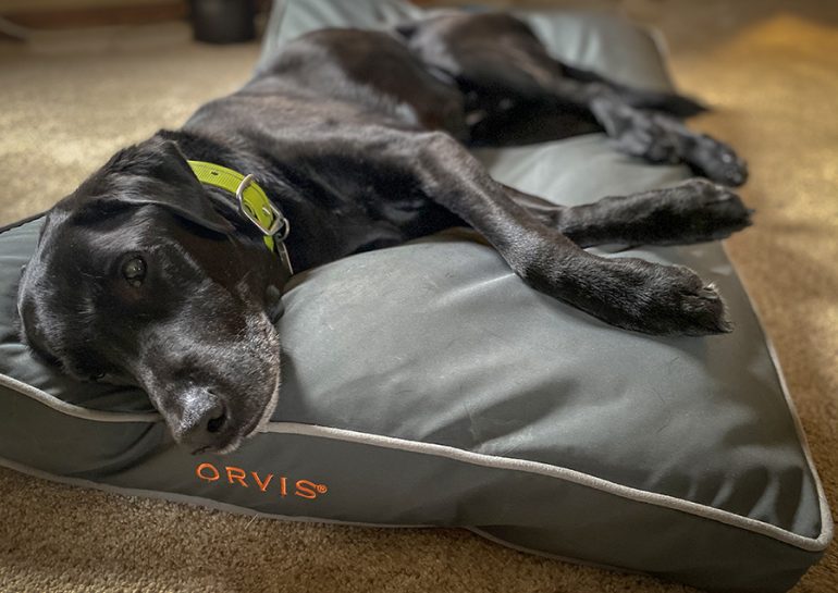 Orvis ComfortFillEco Softshell Dog Bed Ultimate Upland