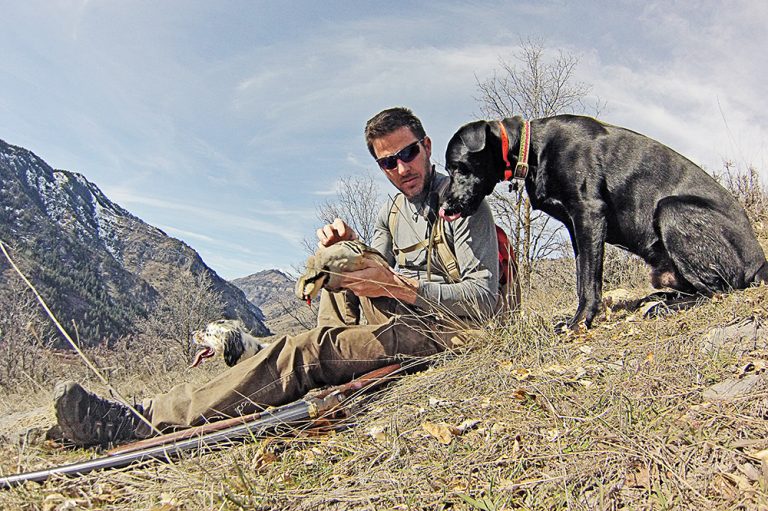 Birddogs and Chukar