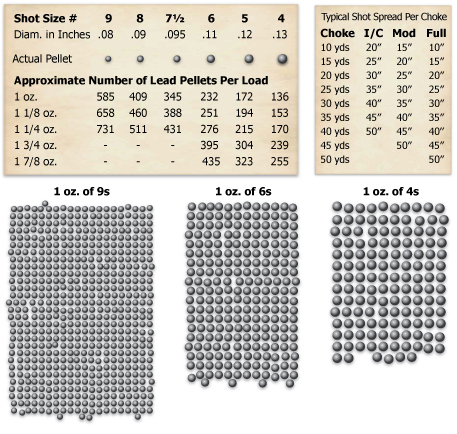 20 Gauge Shot Size Chart - Shotgun Shell Sizes Comparison Chart And Commonl...