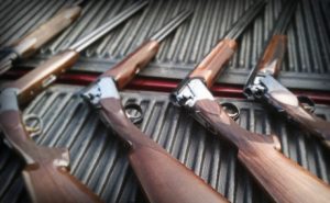Bird Hunting Shotguns