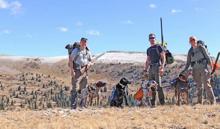 Public Land Ptarmigan