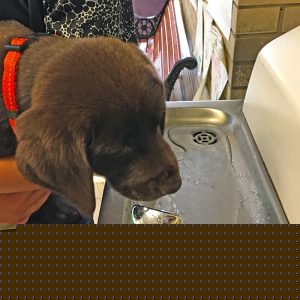 Ida needs a drink too