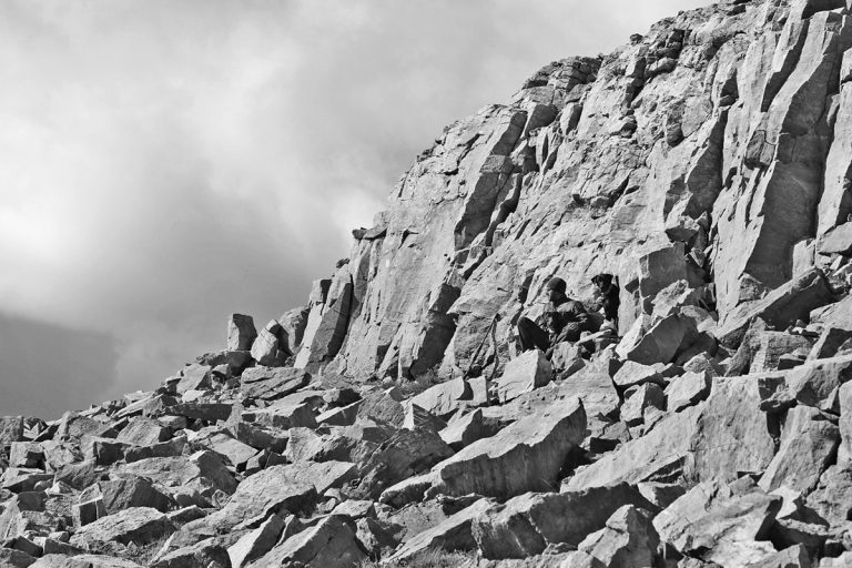 Mountain Climbing with Bird Dogs