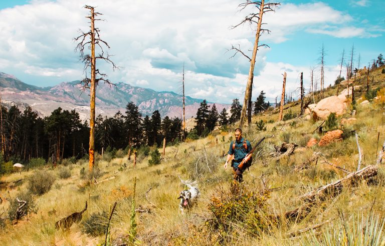 Bird Hunting Colorado