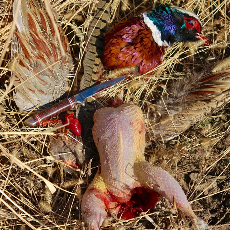 LL Bean Stacked Leather Knife