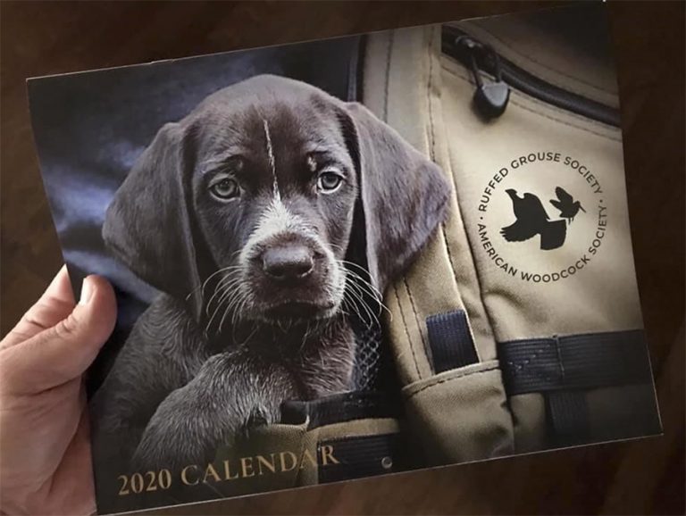 Ruffed Grouse Society