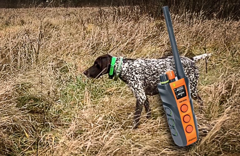 Dogtra T&B Dual Collar