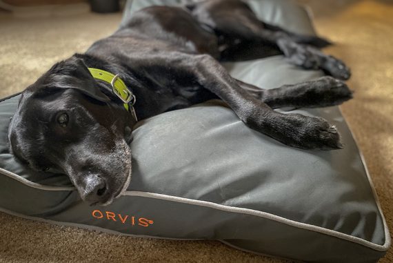 Orvis Dog Bed