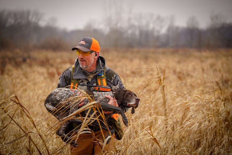 Ohio German Shorthair