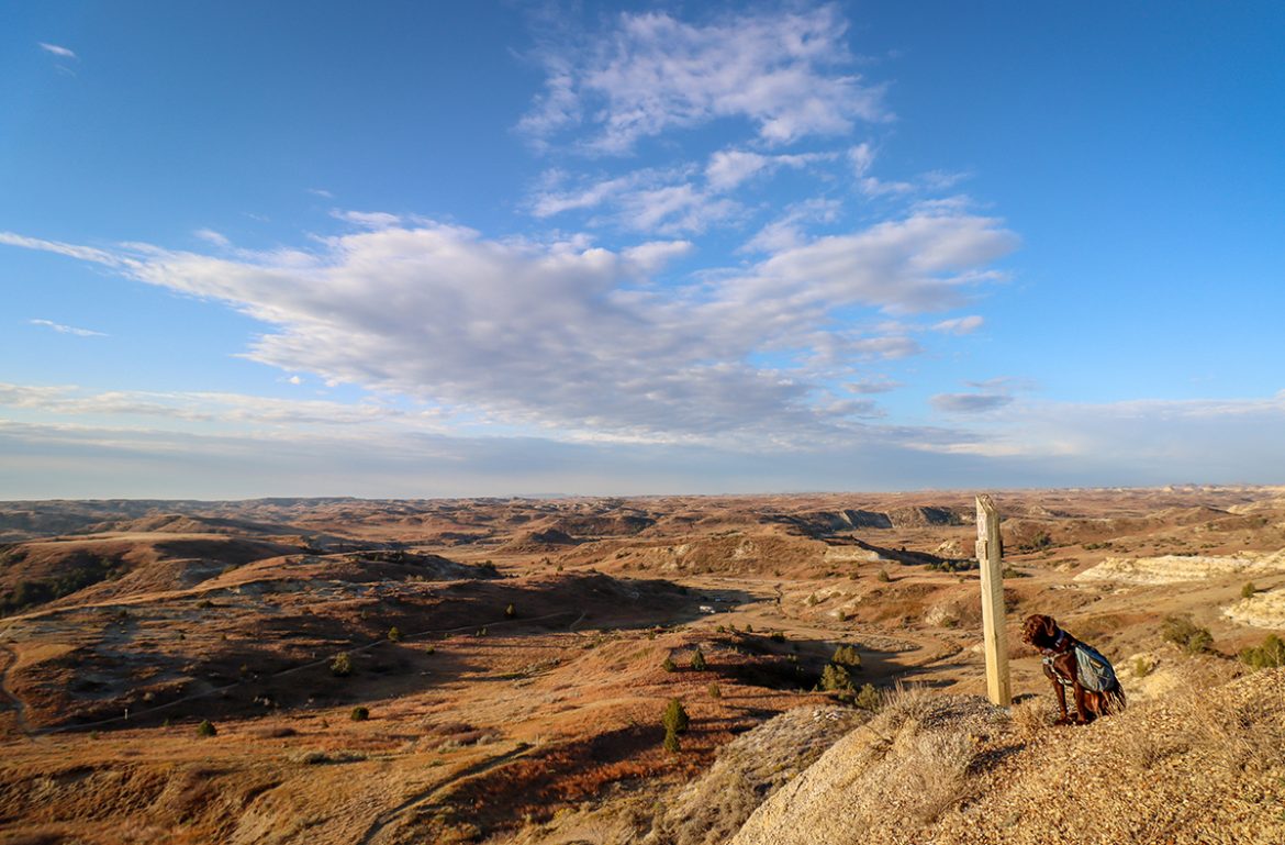 Lab in the Badlands