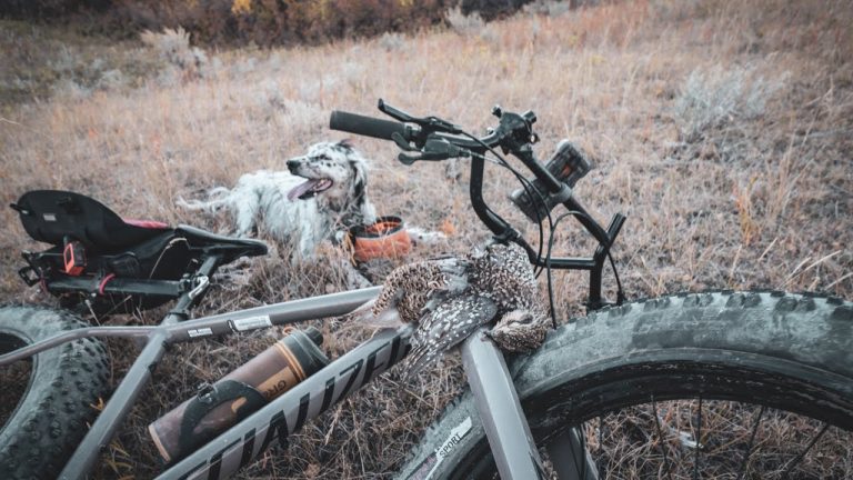 Way Upland Season II Episode 8