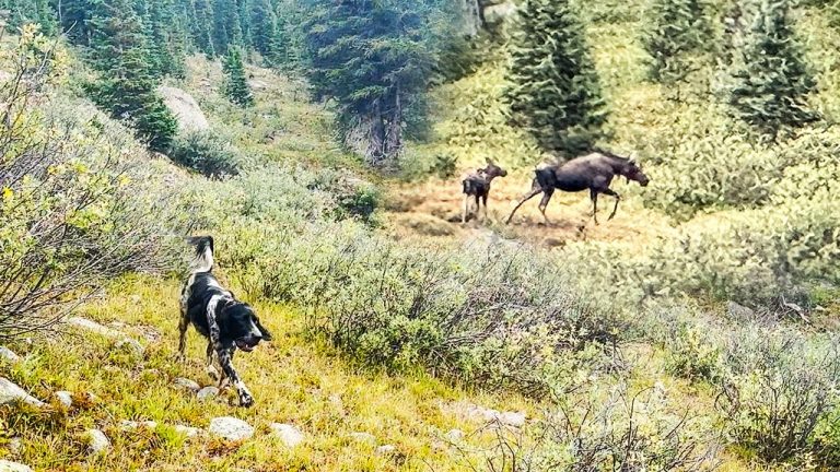 Way Upland Season IV Episode 1