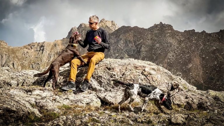 Following the Dogs to High Places in Search of Ptarmigan, Season is Open