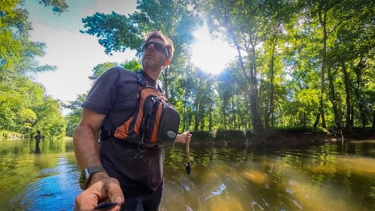 Koch Accepts Role with Muskingum Watershed Conservancy District